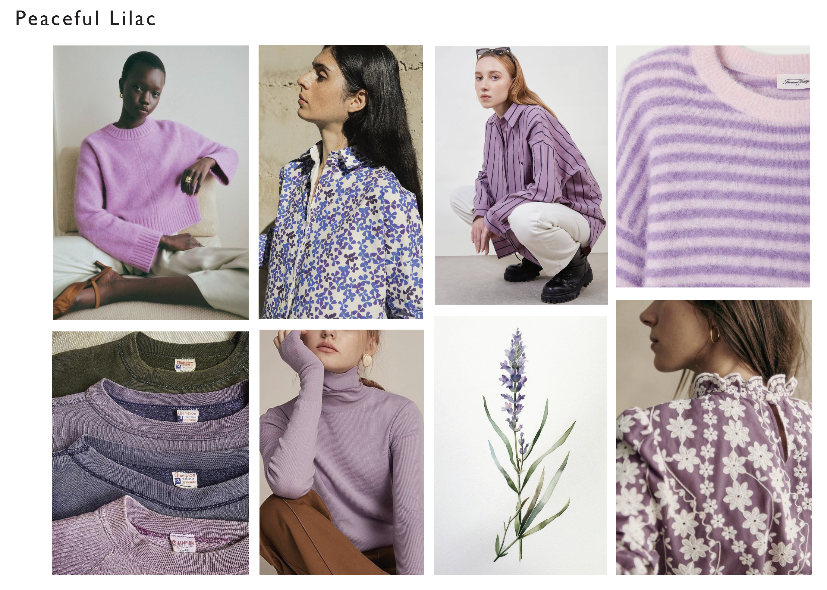 Inspiration 5